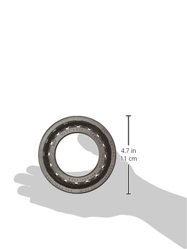 SKF NJ 2213 ECP Single Row Cylindrical Roller Bearing - 65mm Bore, 120mm OD, 31mm Width - High Capacity, Removable Inner Ring, Flanged Design with Polyamide Cage - Perfect for Industrial Machinery, Electric Motors, and Heavy-Duty Equipment
