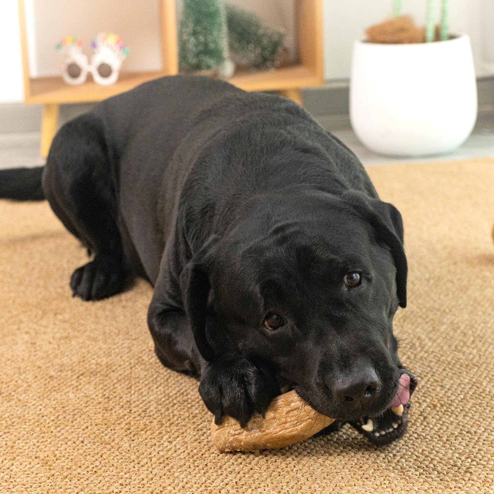 Willjoy 2-Pack Durable Pine Wood & Nylon Dog Chew Toys for Aggressive Chewers - Indestructible Bacon-Flavored Toys for Large Dogs to Keep Them Busy - Perfect for Playtime, Training & Anxiety Relief