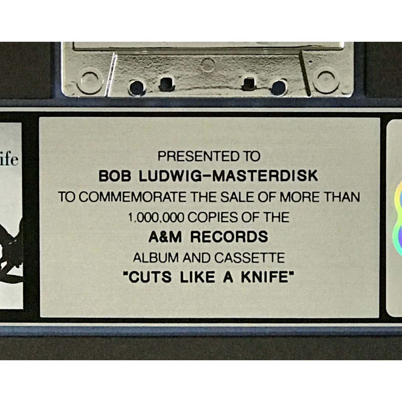 Bryan Adams 'Cuts Like A Knife' RIAA Certified Platinum Album Award - Perfect for Music Collectors, Memorabilia Displays & Rock Fan Gifts