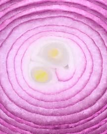 Onion