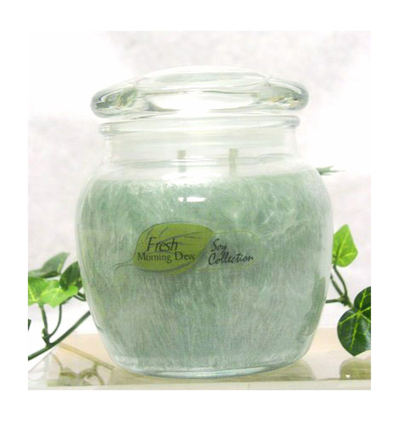 2 Pack Nature's Finest Scented Soy Candles - Fresh Morning Dew Scent, 9 oz Jars for Home Relaxation, Spa & Romantic Ambiance