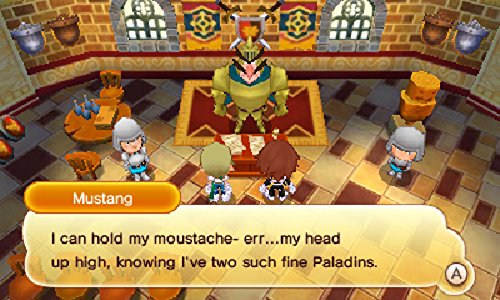 Fantasy Life - Nintendo 3DS Game | Adventure RPG Simulation | Perfect for Travel & Casual Gaming