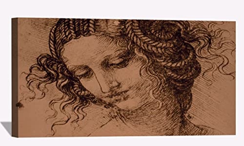 Study for the Head of Leda