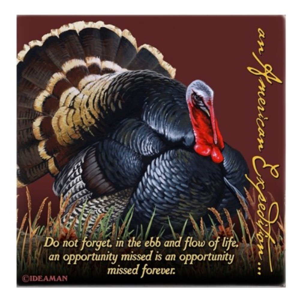 Wild Turkey Square Absorbent Stone Coasters - Set of 4, Natural Cork Backing, Durable & Waterproof - Perfect for Coffee Tables, Bars, and Home Decor