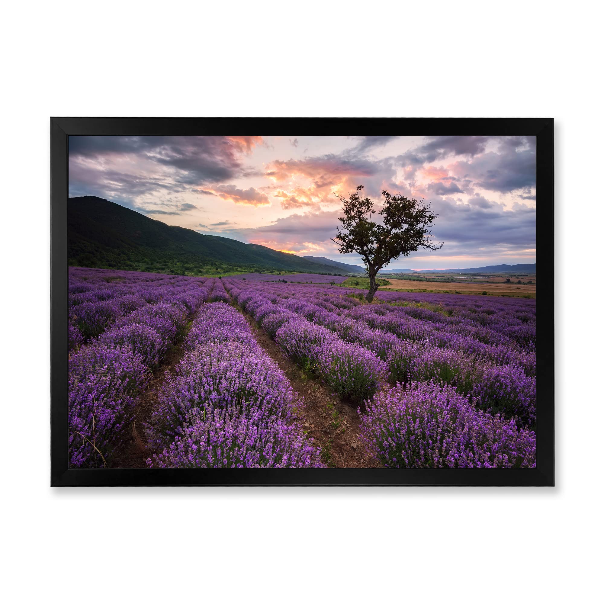 Lavender Field At Dawn III - Farmhouse Style Framed Canvas Wall Art Decor for Living Room, Bedroom & Office | Rustic Countryside Landscape Painting
