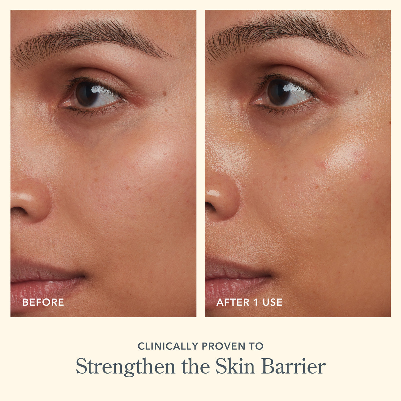 Bloom Cream Daily Moisturizer for Face - Hydrating & Nourishing Skincare with Hyaluronic Acid & Vitamin E - Perfect for Dry, Sensitive Skin Day & Night Care Routine