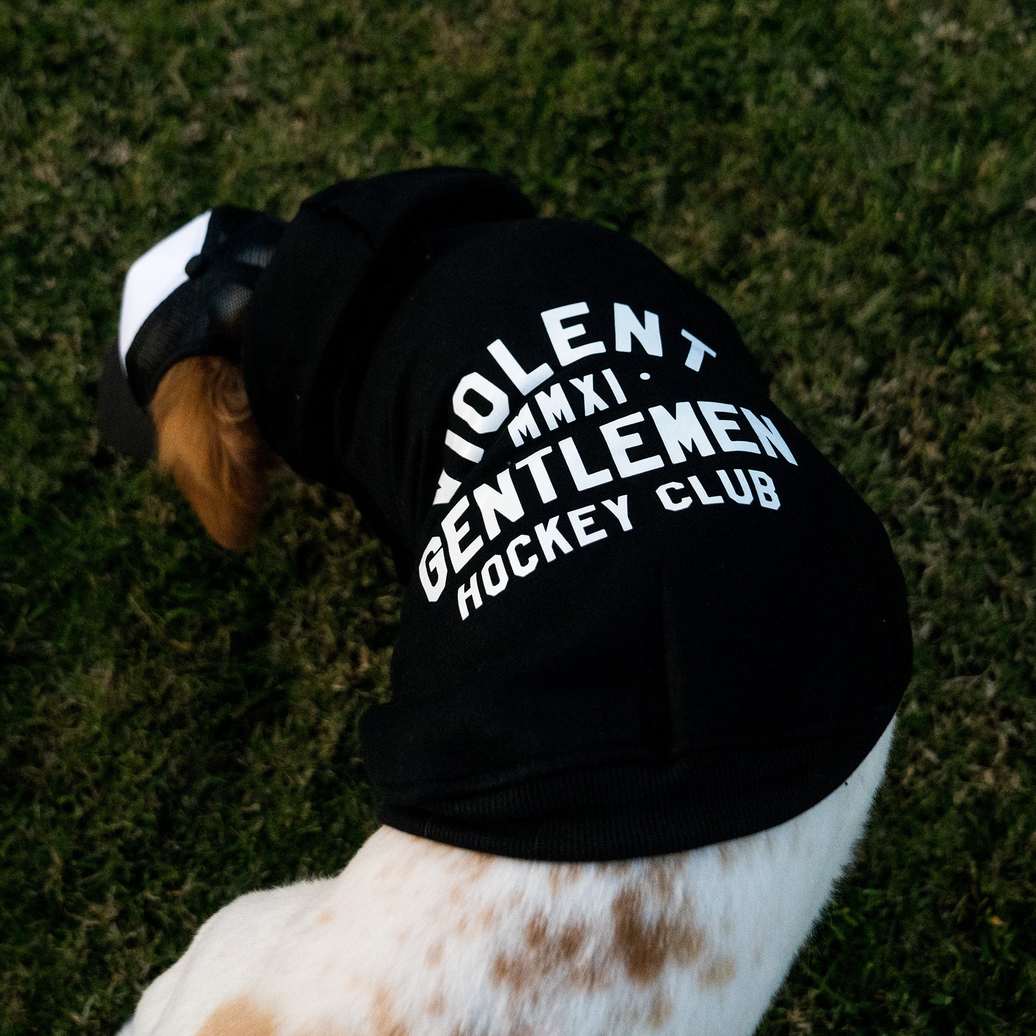 Loyalty Dog Pullover Hoodie - Cute Pet Hooded Sweatshirt for Dogs - Soft & Comfortable Dog Clothes for Small Medium Large Breeds - Perfect for Winter Walks, Outdoor Adventures & Photo Shoots