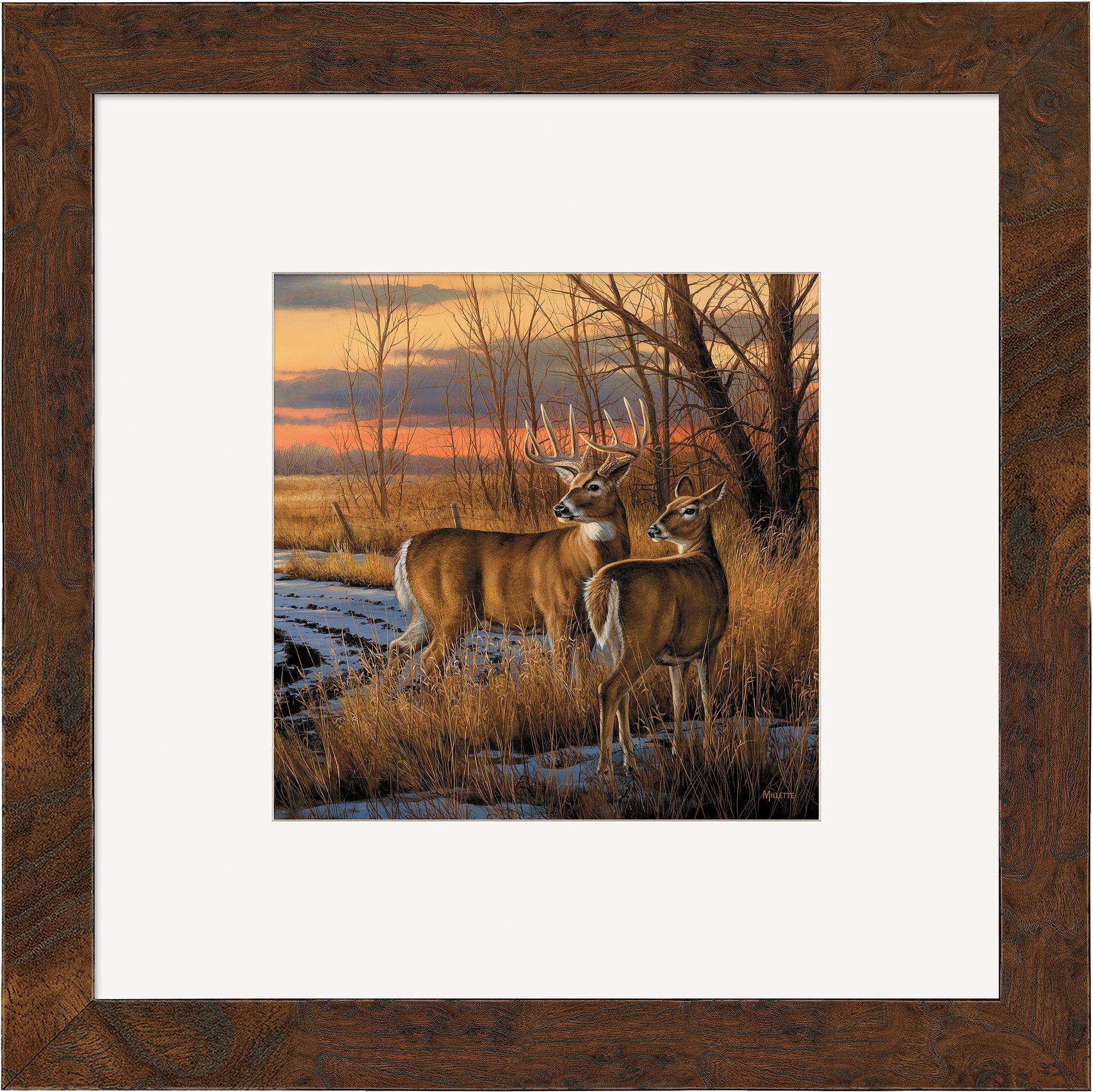 Daybreak Whitetail Deer Hunting Gear & Accessories – Premium Equipment for Whitetail Deer Hunting | Ideal for Outdoor Adventures and Wildlife Photography