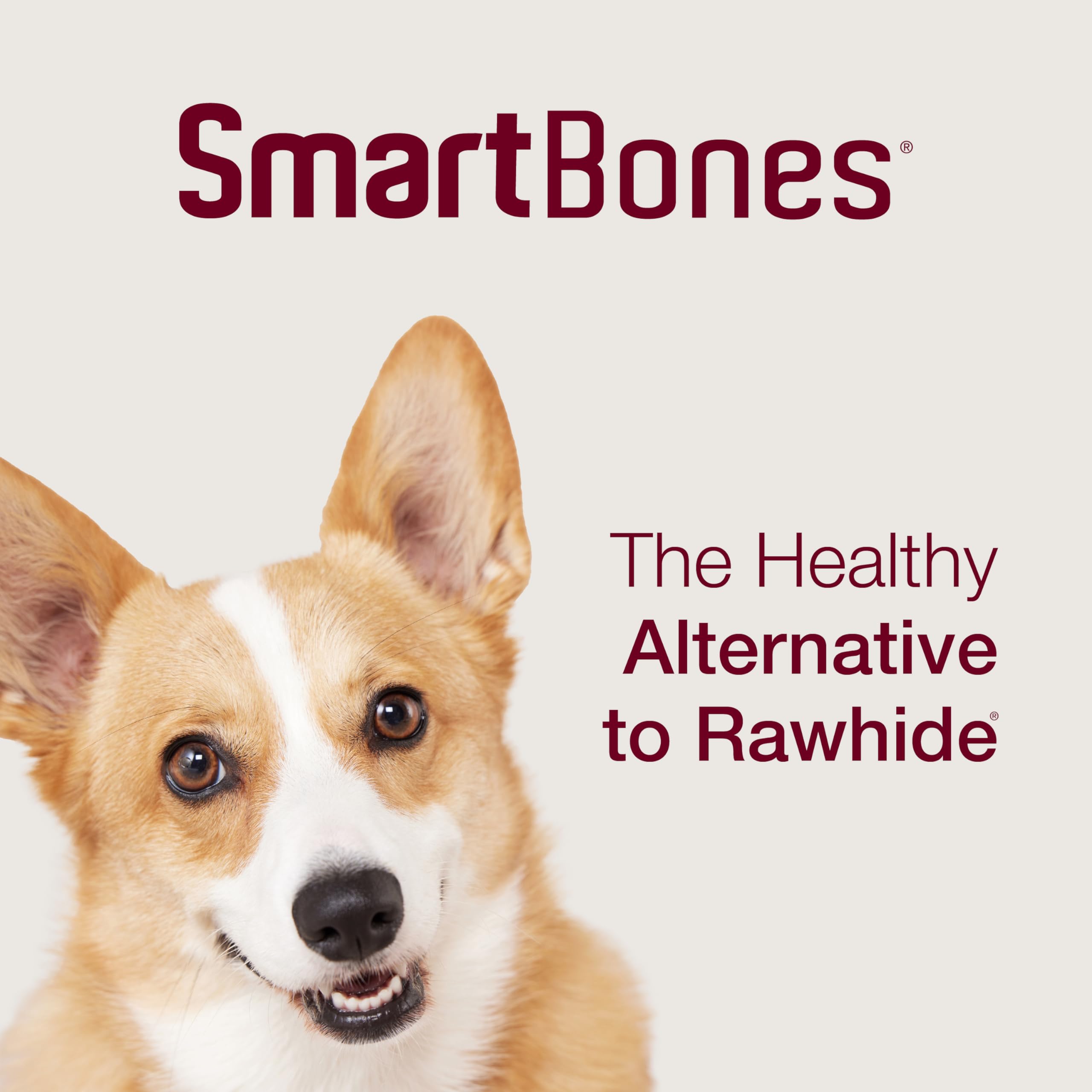SmartBones Holiday Variety Pack 6 Count - Natural Dog Chews with Real Vegetables & Chicken - Rawhide-Free Dental Treats for Small & Medium Dogs - Perfect for Christmas Stocking Stuffers & Gift Giving