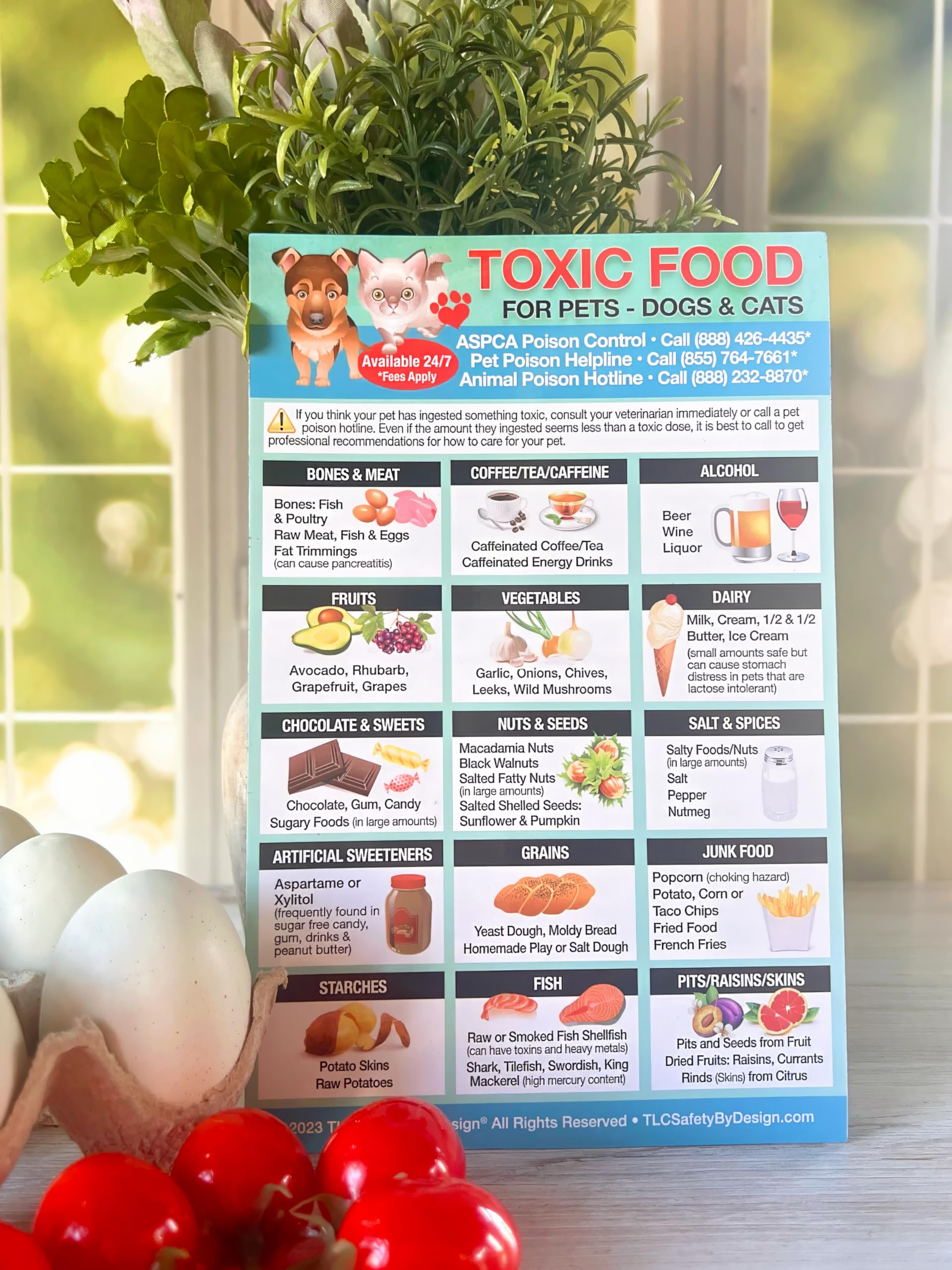 Toxic Foods for Dogs & Cats - Magnetic Pet Safety Feeding Chart (5.5x8.5 in) - Harmful Human Foods Pets Should Avoid - Perfect for Fridge, Vet Offices & Pet Adoption Gifts