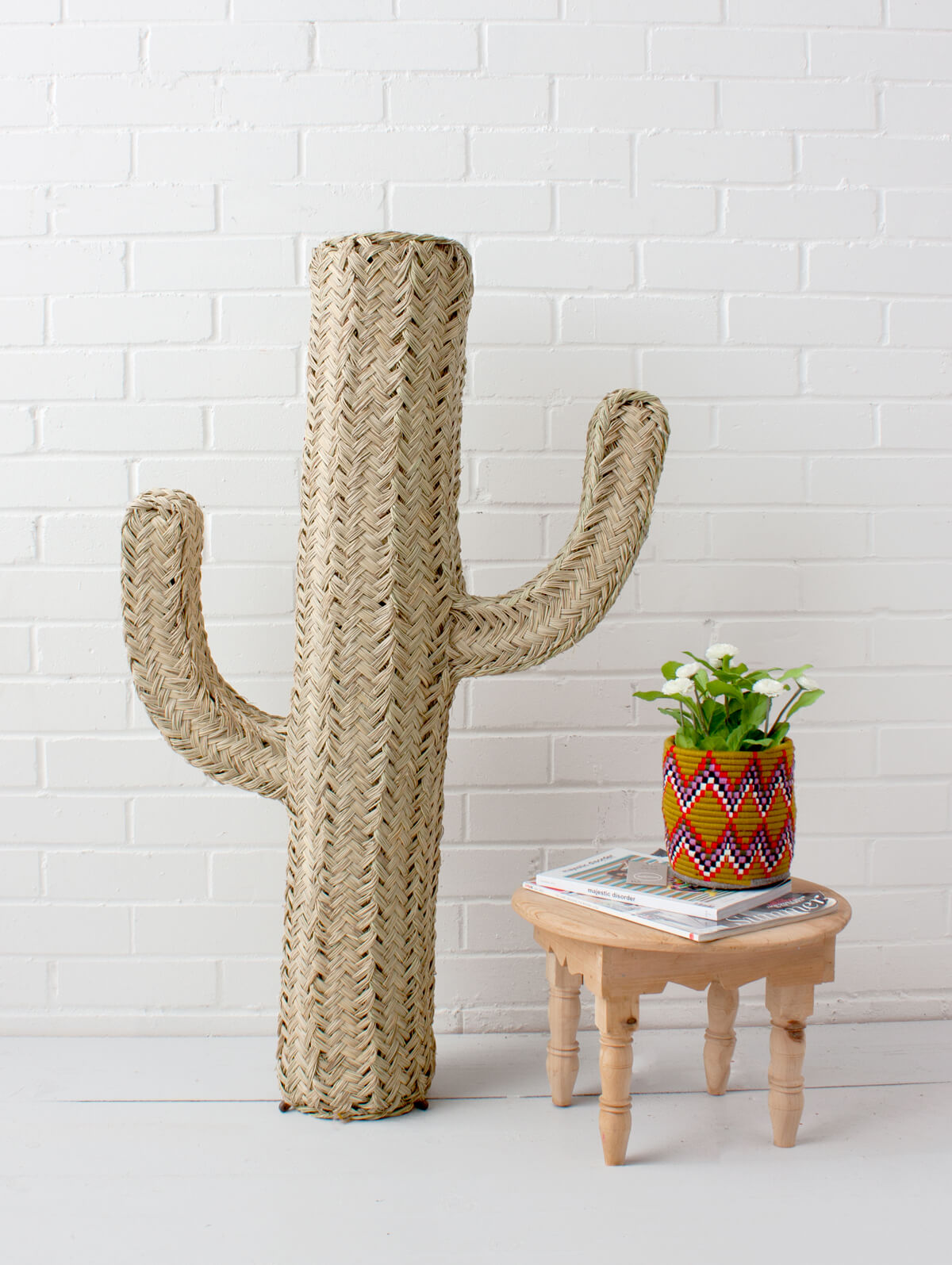 Halfah Grass Cactus - Natural Decorative Plant for Home, Office & Garden | Perfect for Indoor Succulent Arrangements & Desert Landscaping
