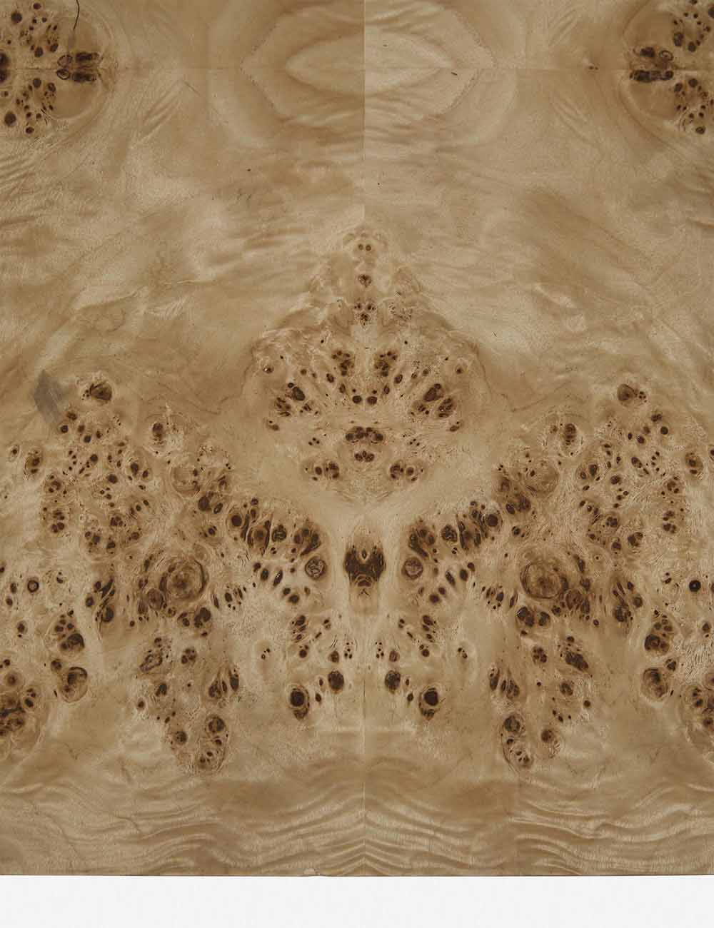 Modern Brisa Burl Wood Coffee Table - Natural Wood Grain Accent Table for Living Room, Perfect for Home Decor & Entertaining Guests