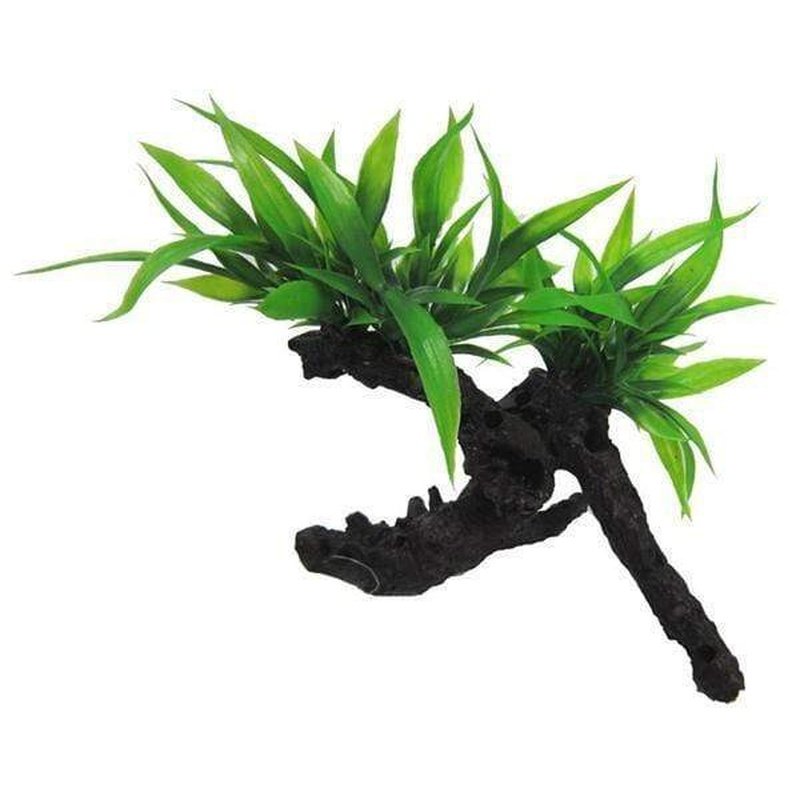 Amazon Jungle Twin Indo Fern on Log - Natural Wood Decor for Terrarium, Aquarium & Vivarium - Perfect for Reptile Habitats & Tropical Plant Displays