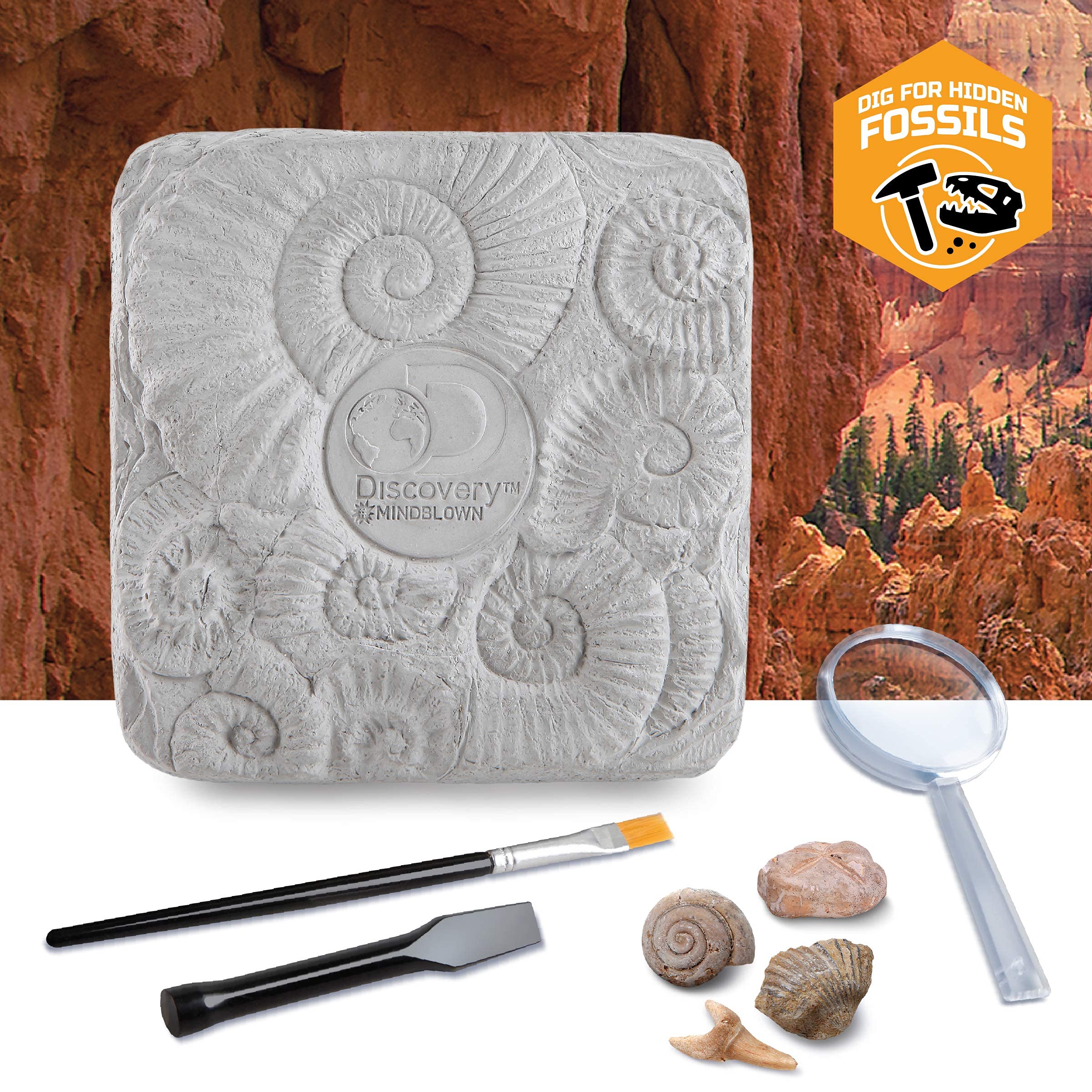 Discovery #MINDBLOWN Colossal Fossil Dig Kit - 15-Piece Archaeology Excavation Set with Real Shark Teeth & Unique Fossils - STEM Educational Toys for Kids - Perfect for Science Projects & Birthday Gifts