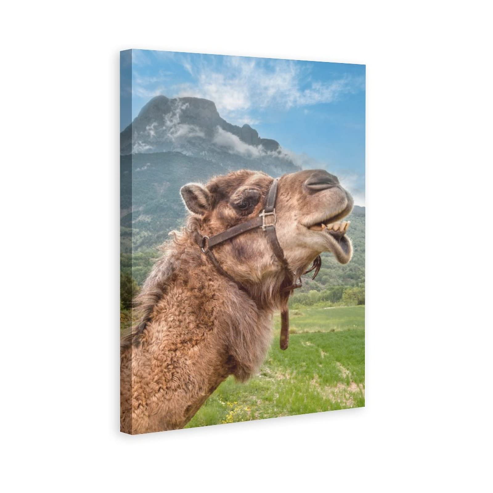 Animals Camel Happy Poster - 16x24 Inches (40x60cm) Canvas Wall Art for Living Room, Bedroom & Office Decor - Perfect Gift for Home, Sports & Landscape Enthusiasts - Ideal for Housewarming, Birthday & Holiday Presents
