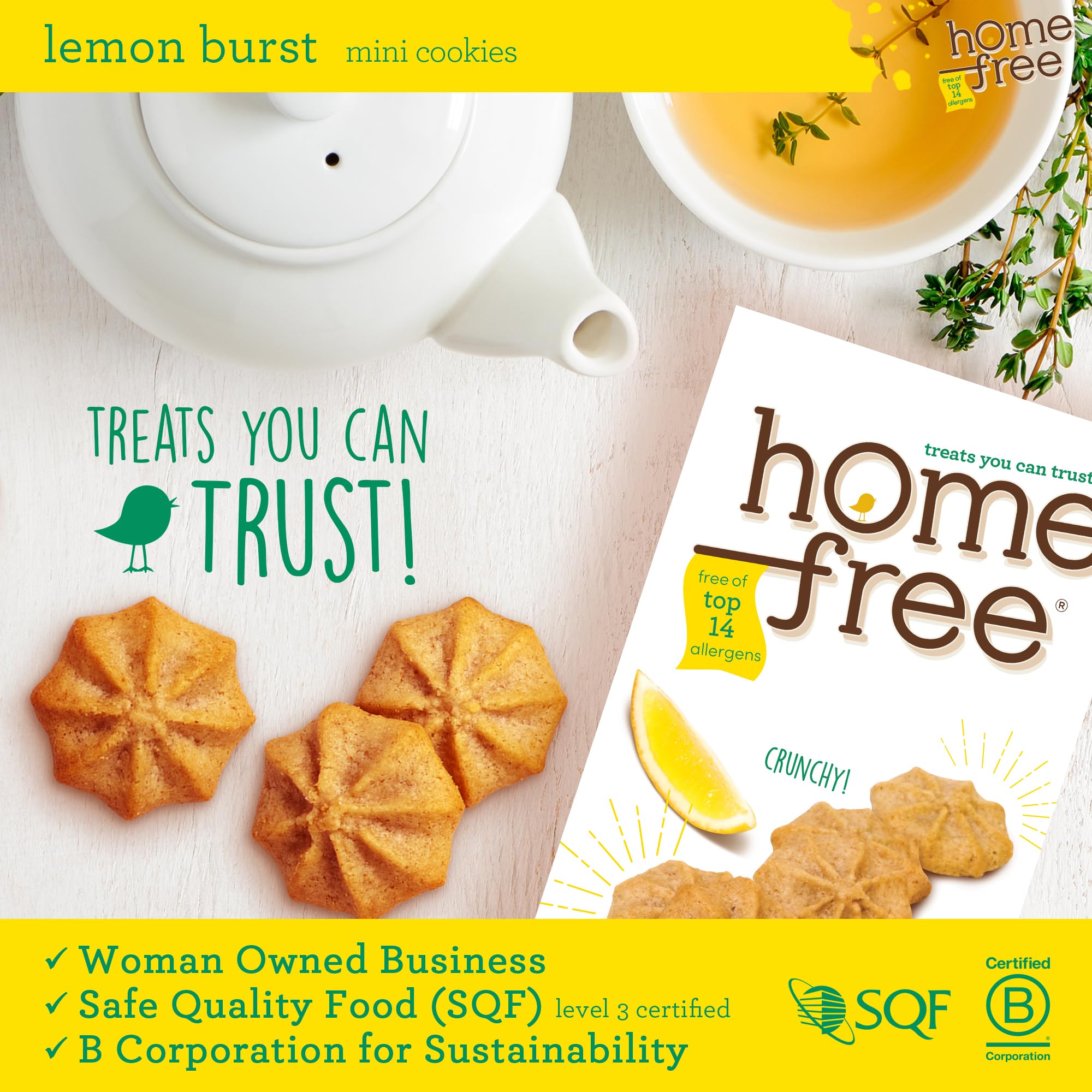 Gluten Free Vegan Lemon Cookies - Nut Free, Allergy Friendly Snacks for School & Travel - 5 Oz, Made in USA