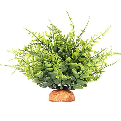 I-fake Green Boston Fern