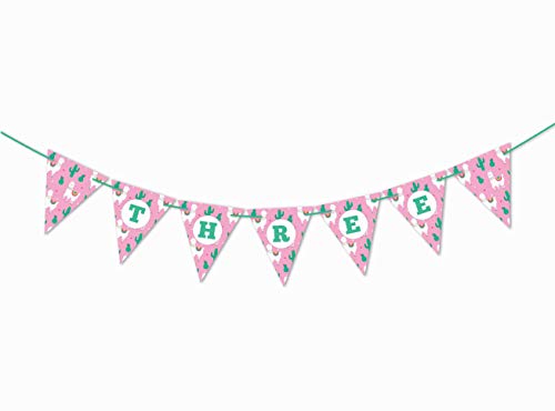 D.three_(3rd Birthday)