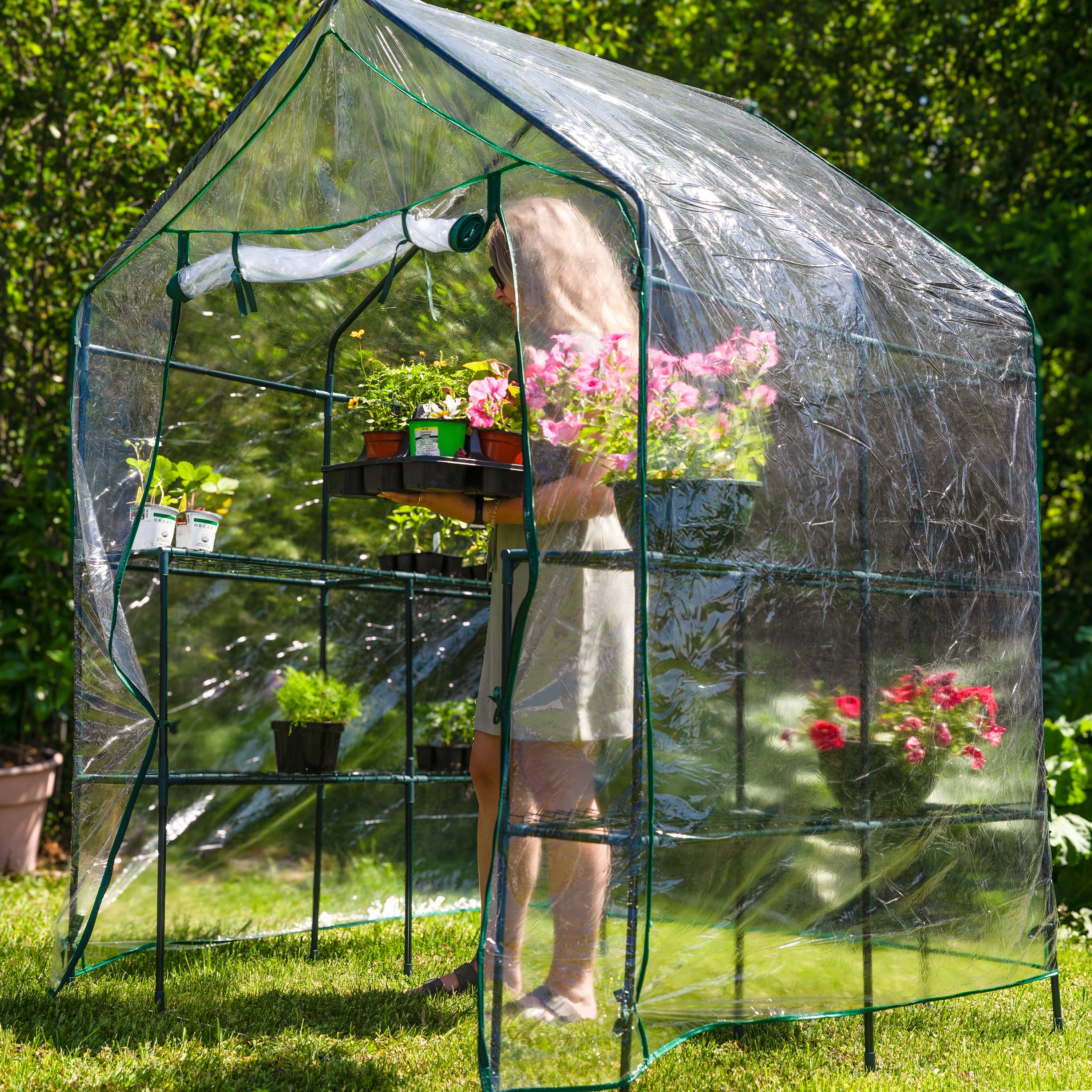 Sunnydaze Grandeur Walk-In Greenhouse with 4 Shelves - Outdoor Plant Growing & Gardening Greenhouse for Herbs, Flowers & Vegetables - Perfect for Backyard, Patio & Garden Use