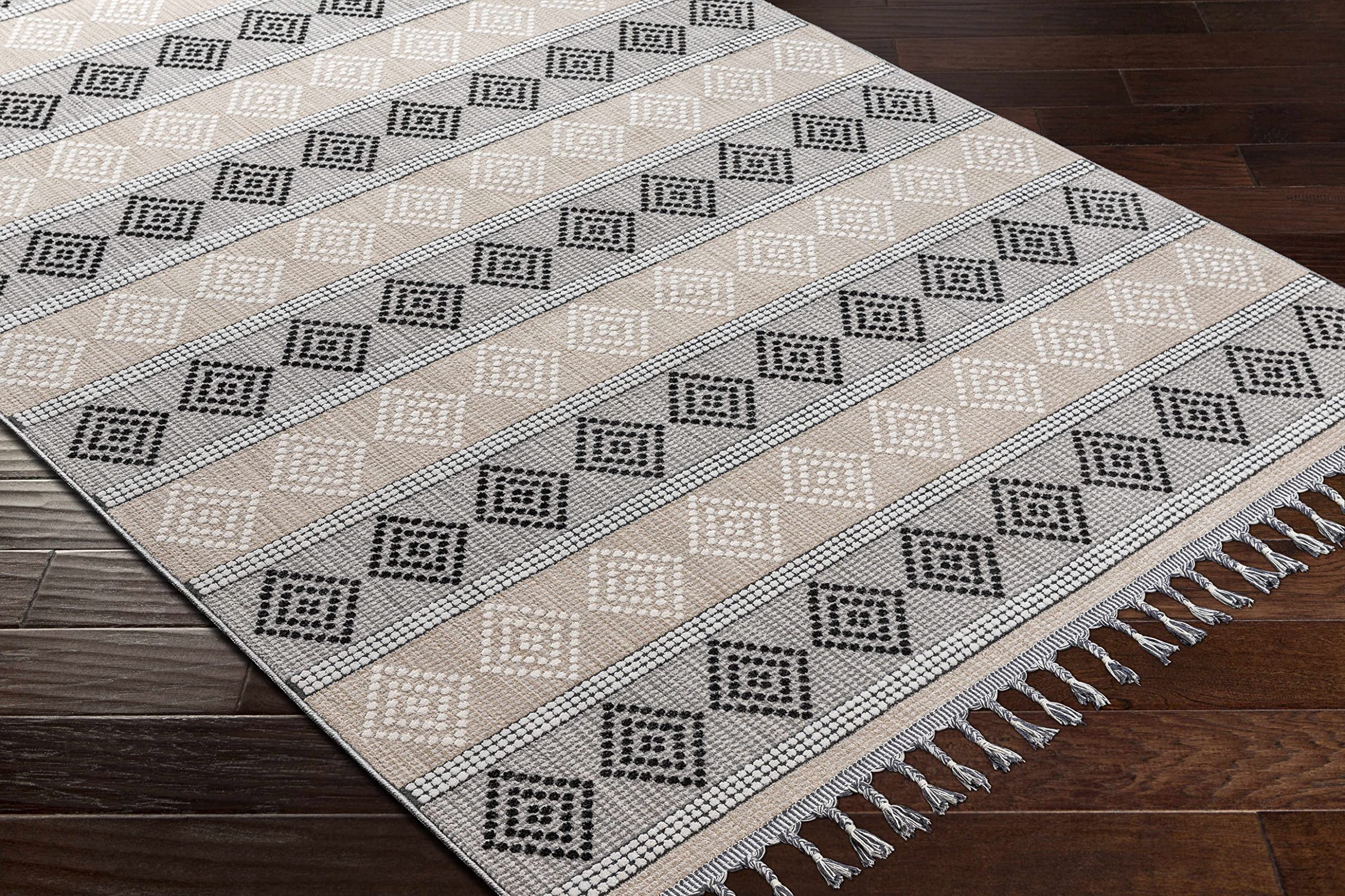 Hauteloom Arij Modern Area Rug for Living Room & Bedroom - Soft Gray & Black - 3'11