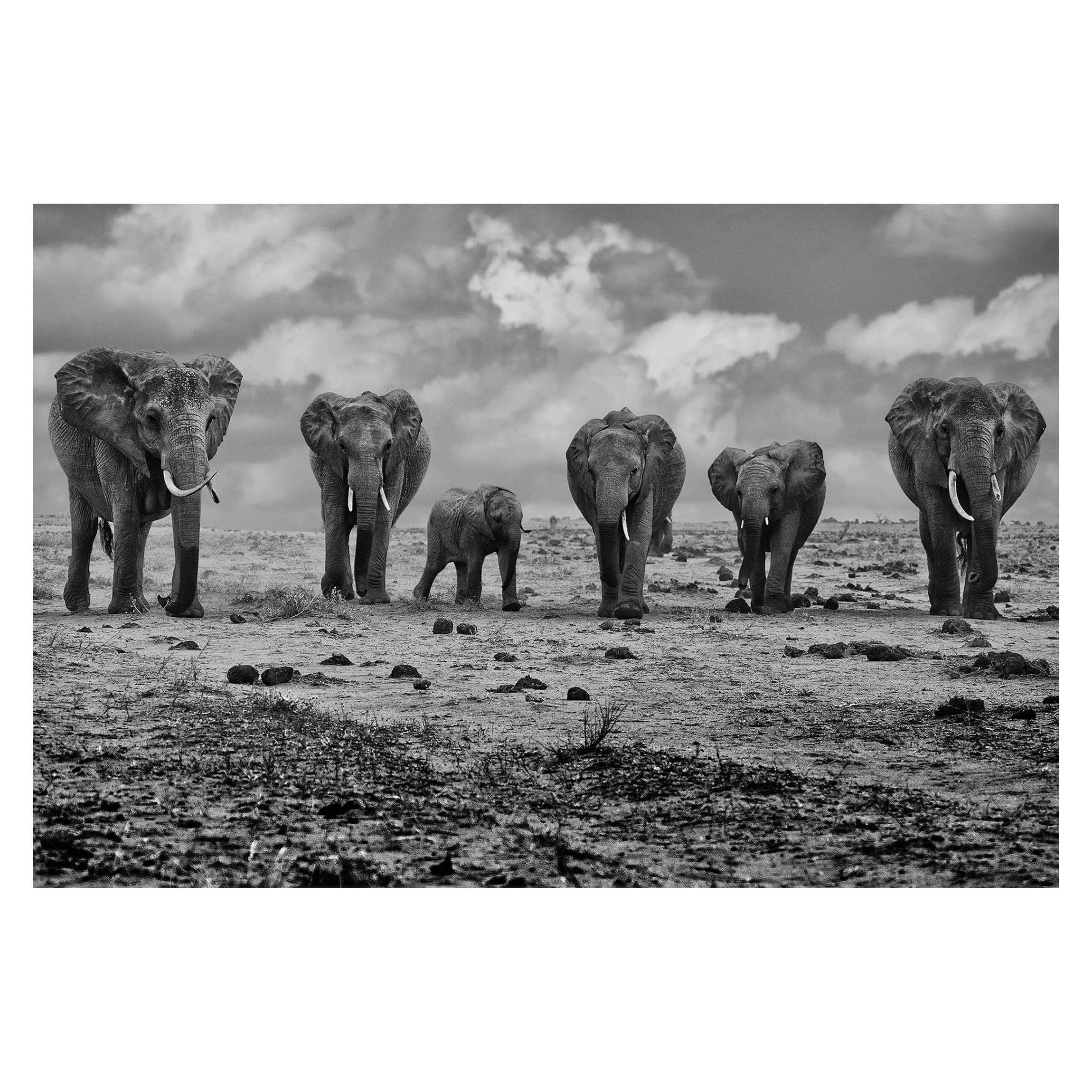 Self-Adhesive Removable Wallpaper - Large Family Photo Mural - 190x288cm Landscape Wall Decal - Perfect for Living Room, Bedroom & Nursery Decor