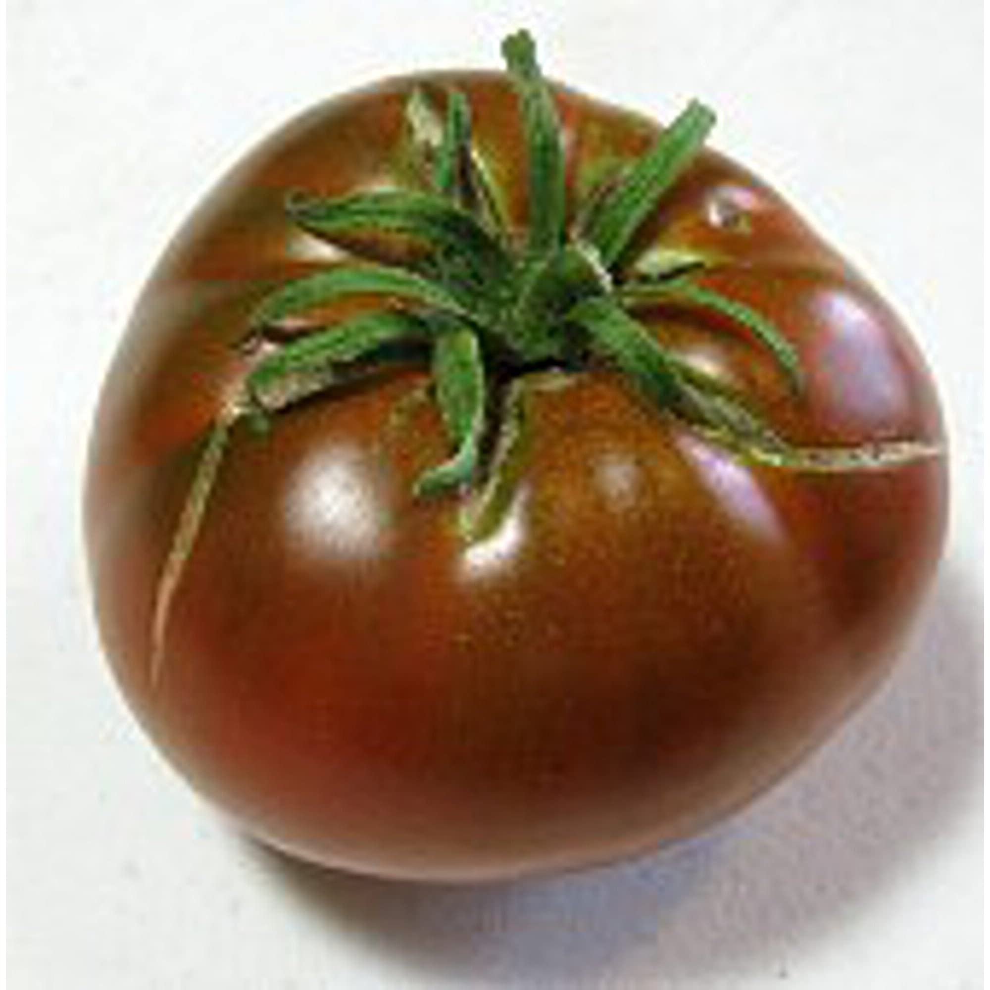 Organic Cherokee Chocolate Tomato Seeds (20+ Seeds) | Non-GMO Heirloom Variety | Vegetable & Fruit Seeds for Planting | Home Garden, Greenhouse, or Container Growing | Perfect for Salsas, Sauces, and Fresh Eating