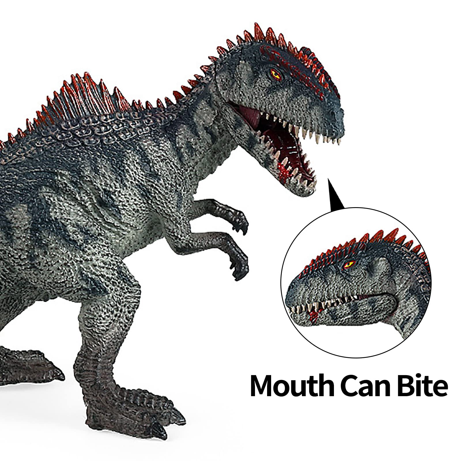 Giganotosaurus Dinosaur Toy with Movable Jaw - 9