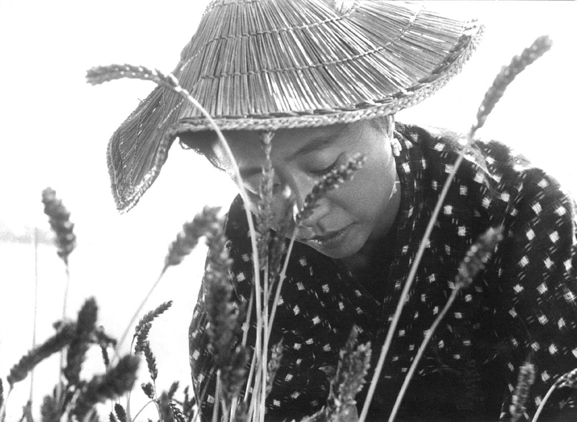 The Naked Island (Criterion Collection) [Blu-ray] - Classic Japanese Drama Film for Movie Collectors & Cinephiles - Perfect for Home Theater Nights & Film Study