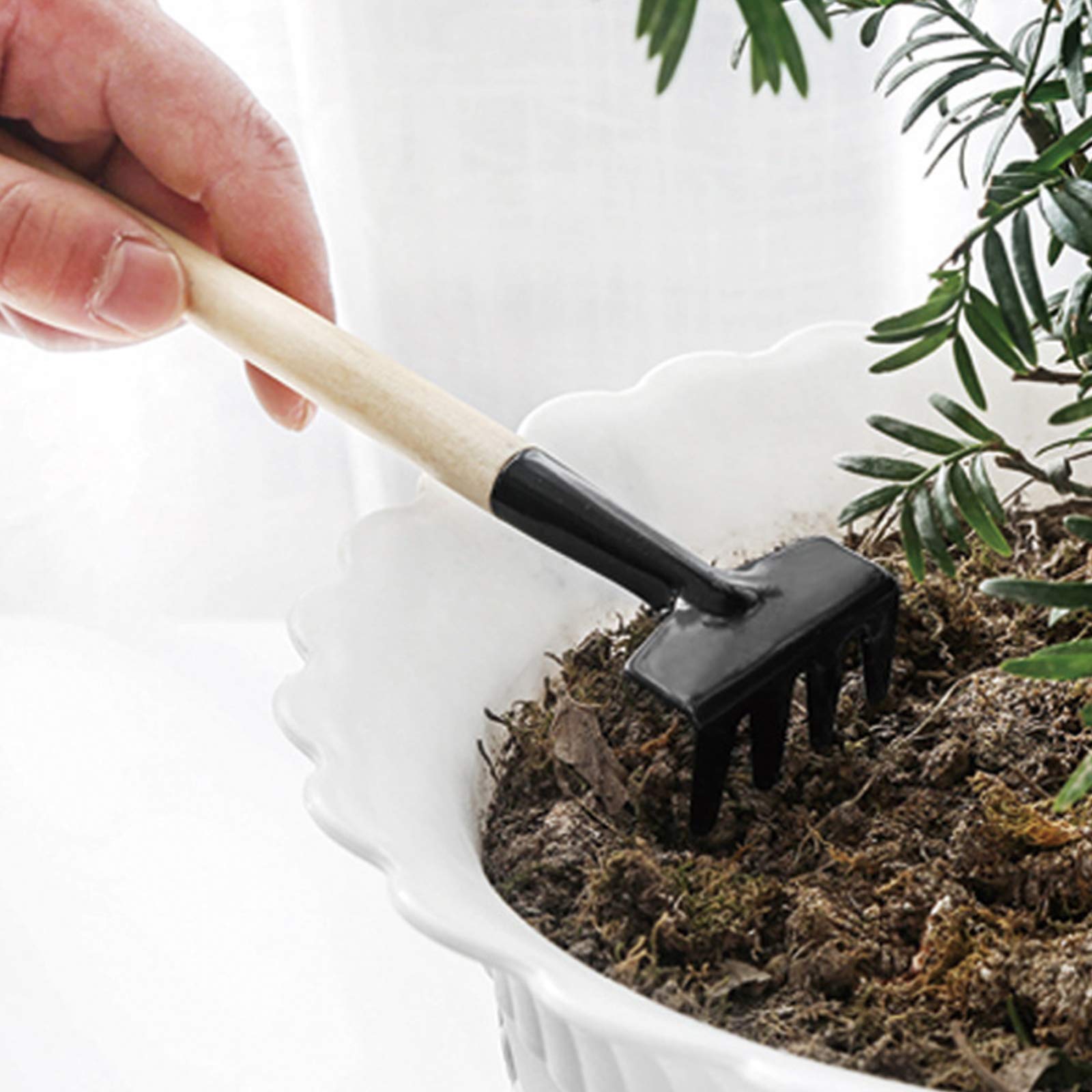 Kingsea 14-Piece Succulent Plant Tool Kit - Mini Garden Hand Transplanting Tools for Bonsai, Fairy Gardens & Plant Care | Perfect for Indoor Succulent Arrangements, Fairy Garden DIY & Home Gardening