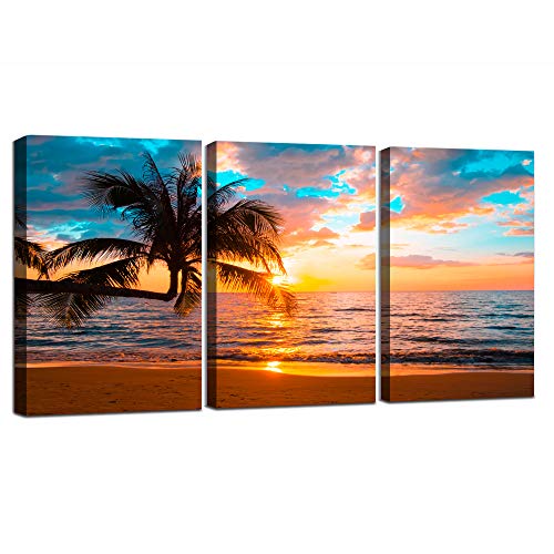 C-3pcs