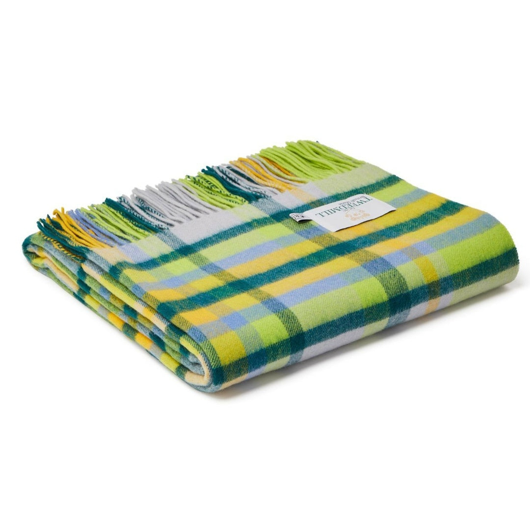 Bright Citrus Throw Blanket - Soft & Cozy Decorative Throw for Couch, Bed, Sofa - Perfect for Home Decor, Living Room, Dorm & Gift Giving