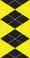 Black/Yellow