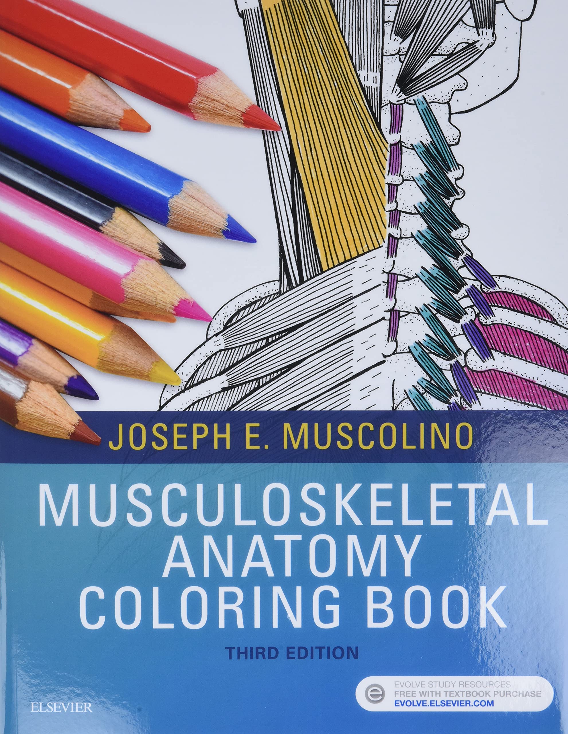 Musculoskeletal Anatomy Coloring Book for Medical Students & Professionals - Perfect for Study, Relaxation & Learning Human Body Systems