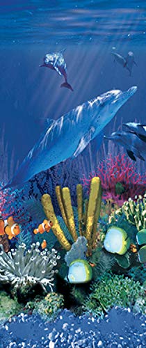 Antilles Dolphin