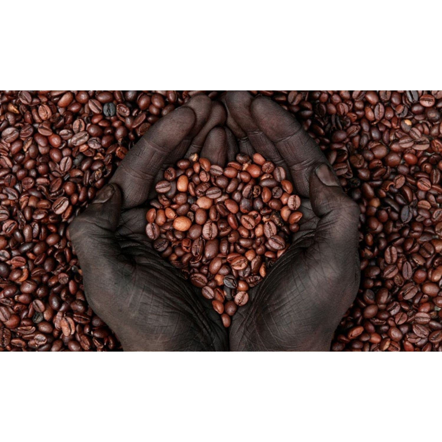 Premium AfriKin Ethiopian Harrar Artisan Ground Coffee - 100% Arabica, Organic Certified, Bold Flavor Medium Roast - Fresh Gourmet Coffee Beans (1lb/16oz) for Home Brewing, Office & Gifts