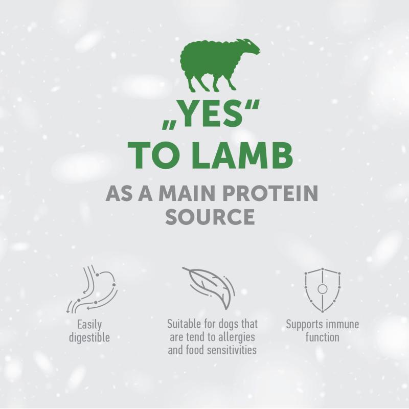 Premium Lamb Flavored Adult Dog Treats for Energy & Endurance - High Protein Training Snacks for Active Dogs | Perfect for Hiking, Running & Outdoor Adventures
