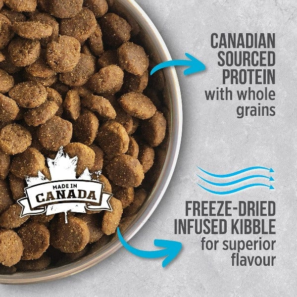 Nutrience Infusion Healthy Adult Ocean Fish Recipe Dry Dog Food - High Protein Grain-Free Kibble for Medium & Large Breed Dogs - Perfect for Active Pets & Daily Nutrition