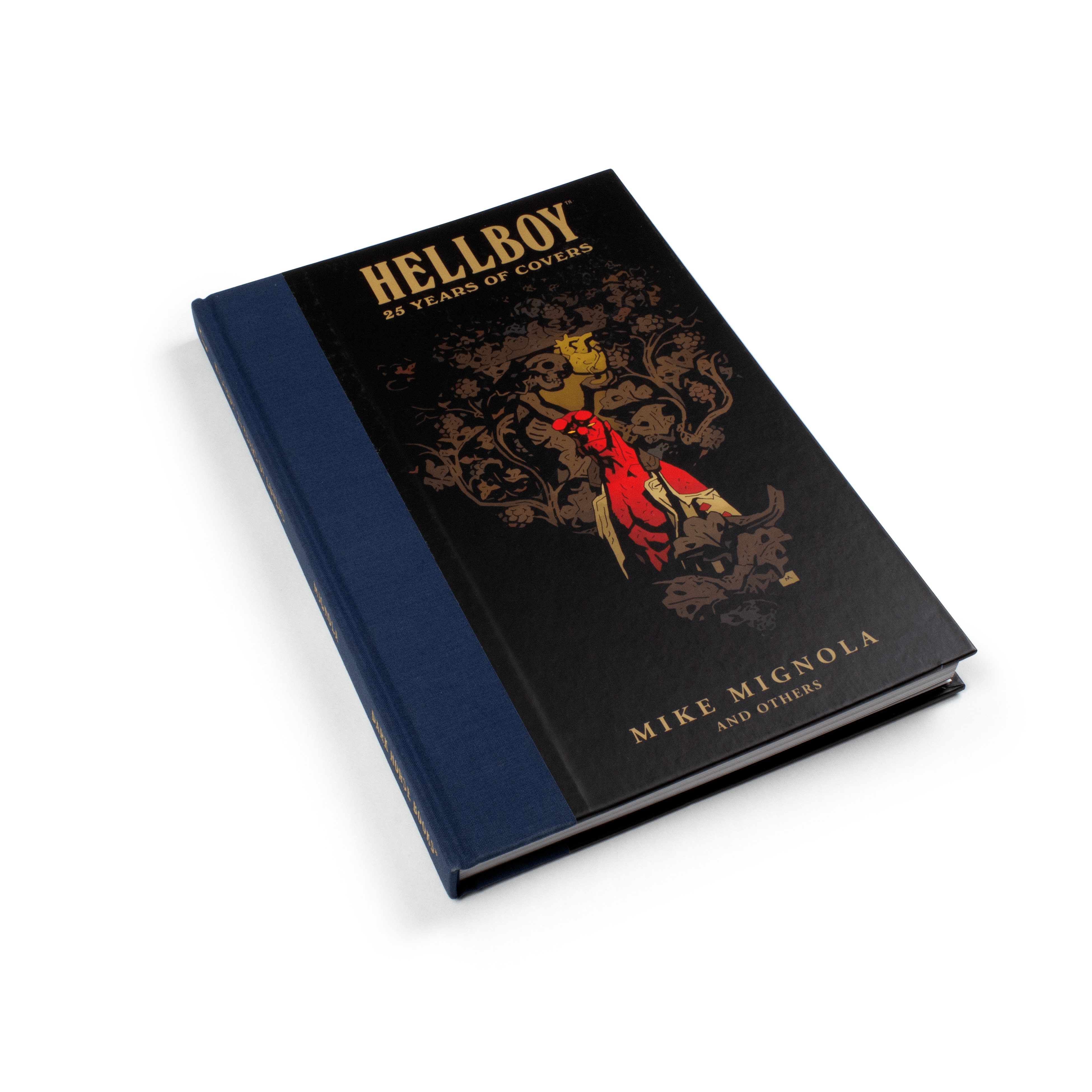 Hellboy: 25 Years of Cover Art - Limited Edition Comic Book Collection for Fans & Collectors | Perfect for Display, Gifts & Comic Conventions