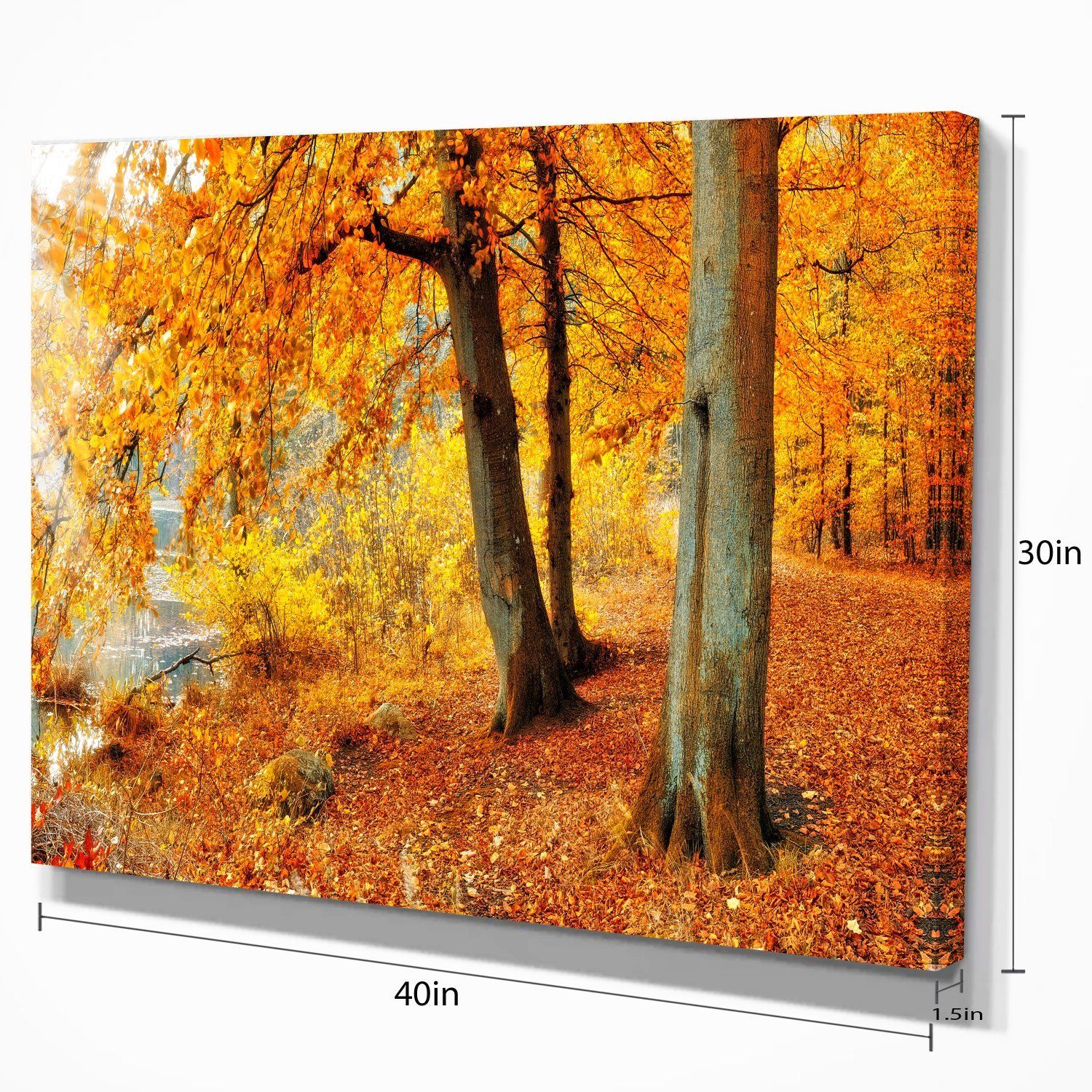 Autumn Forest Landscape Photography Canvas Print - Yellow Fall Foliage Wall Art for Living Room, Bedroom & Office Decor