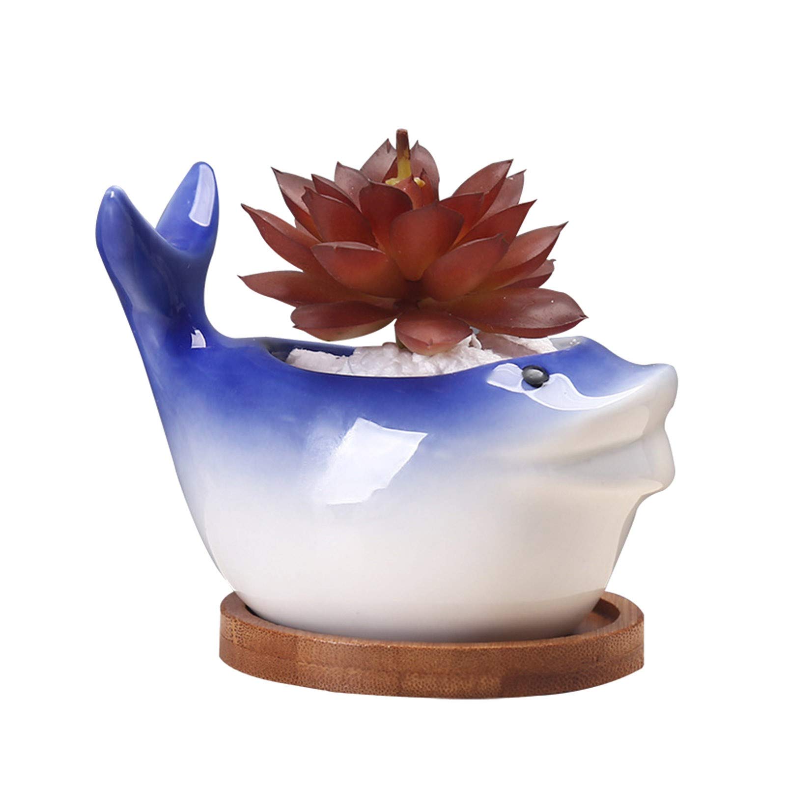 YaYiYa Mini Ceramic Flower Pot with Drainage Hole - Small Decorative Planter for Succulents, Herbs & Indoor Plants - Perfect for Home, Office Desk & Window Sill Decor