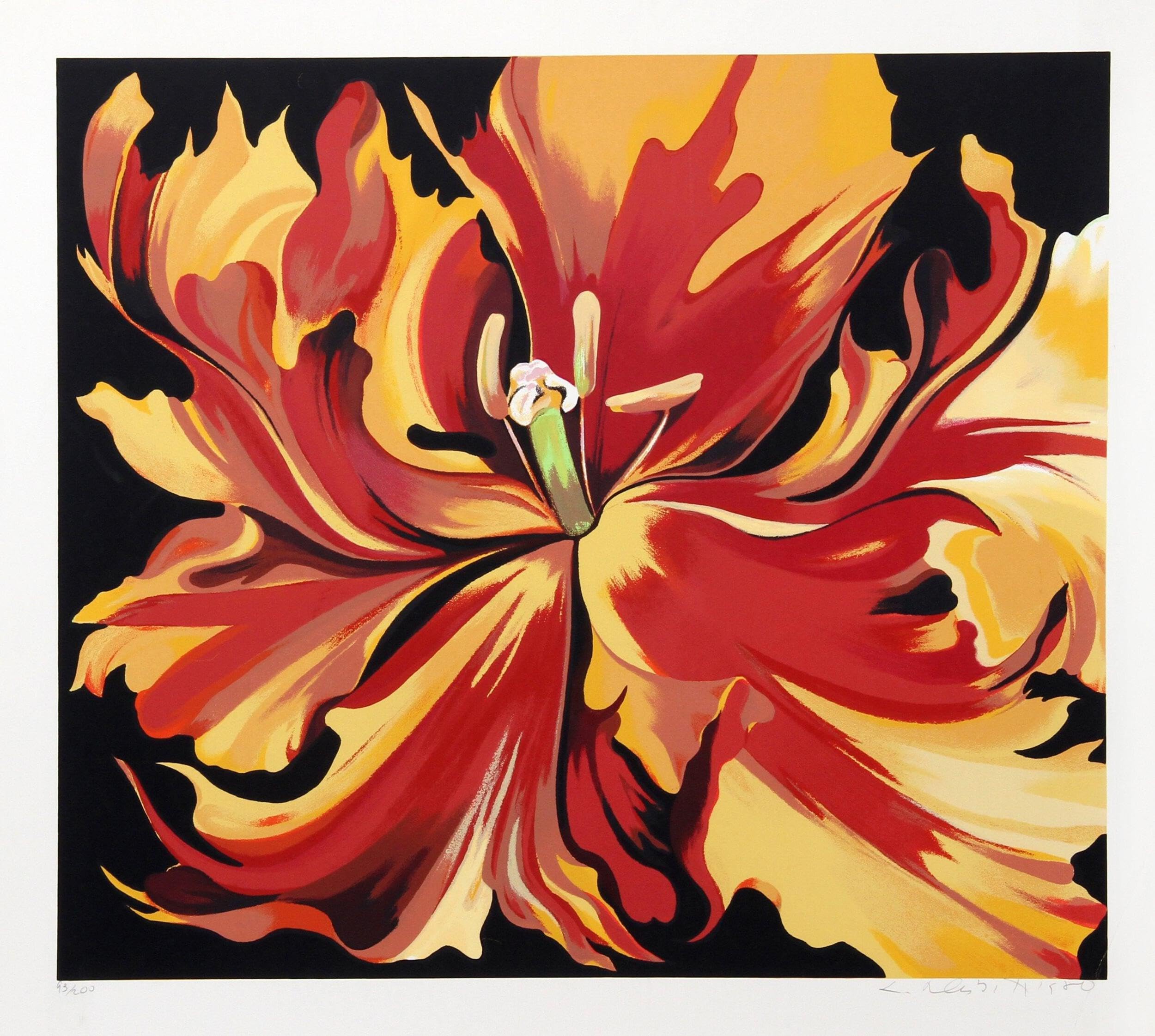 Vibrant Red and Yellow Parrot Tulip Bulbs for Garden Planting - Perfect for Spring Flower Beds, Wedding Bouquets & Home Decor