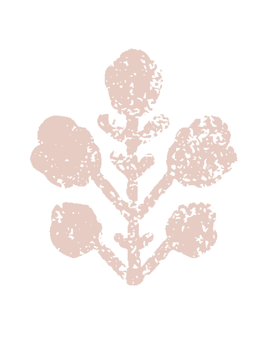 Sugar Paper Rose Ensley Large White Ground Wallpaper - Perfect for Living Room, Bedroom & Home Decor