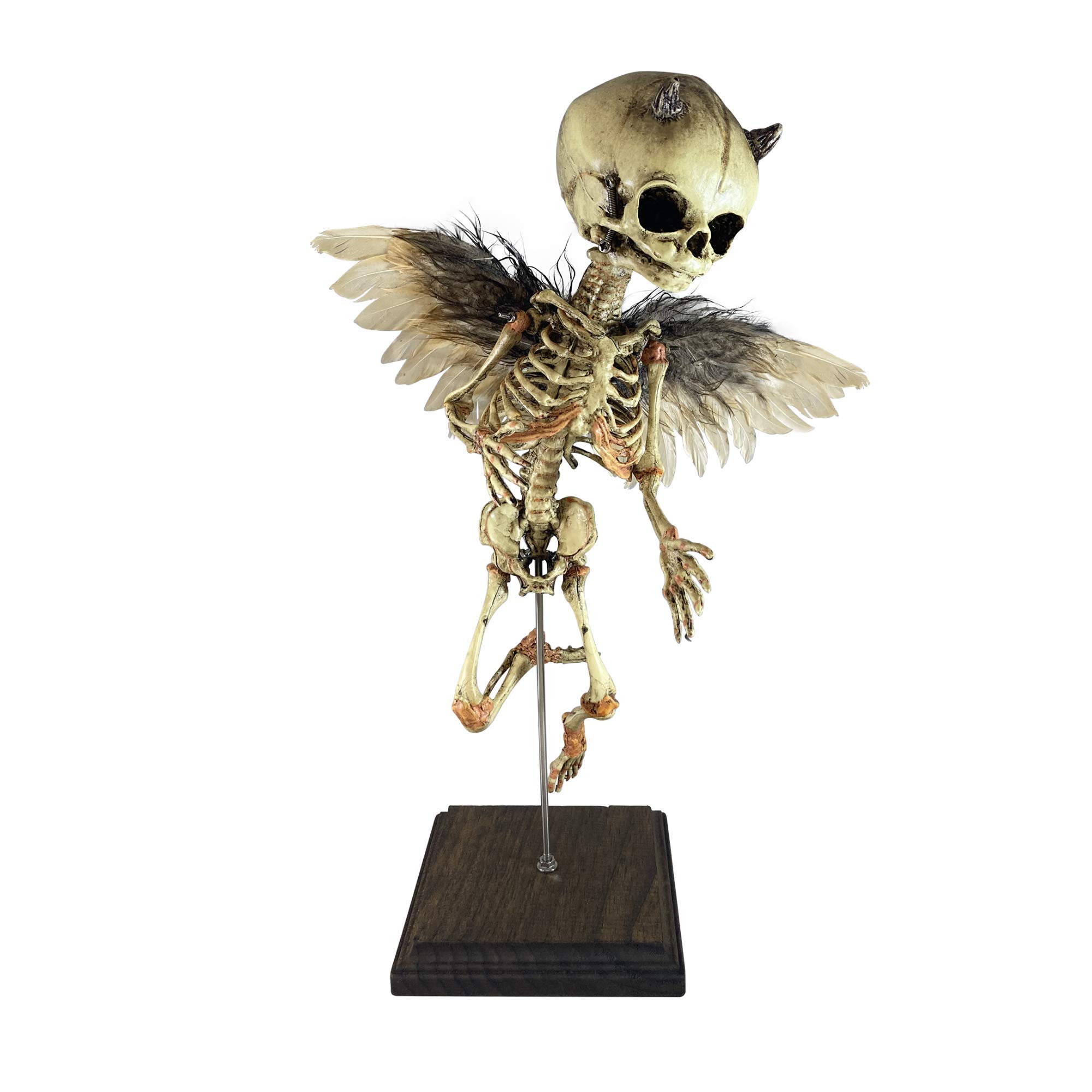 Incubus Rising Demon Fetus Skeleton Oddity - Unique Demonic Medical Specimen Collectible for Horror Decor, Gothic Display & Halloween Props (Beige, One Size)
