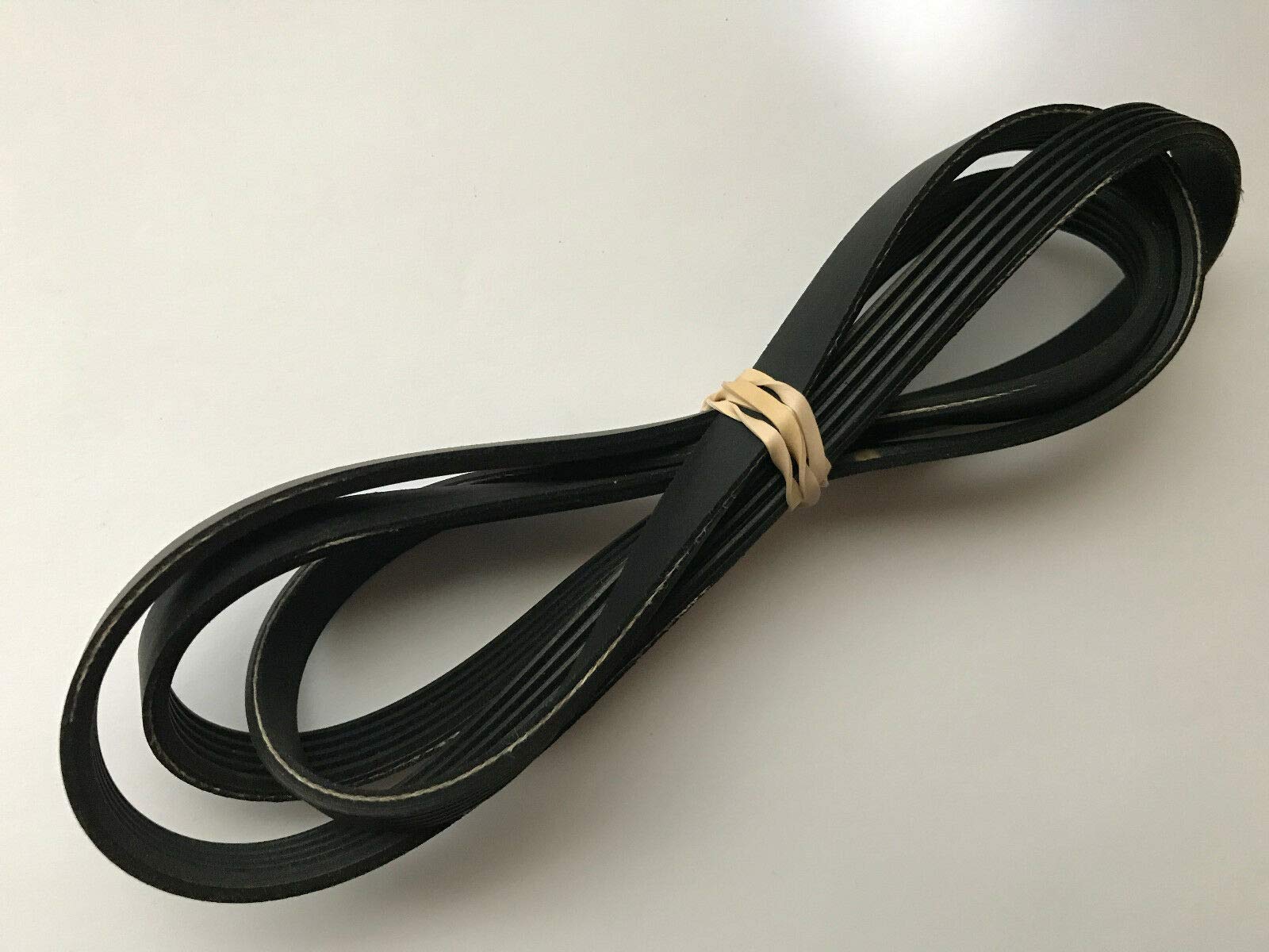 Sunny Spin Bike Replacement Belt for SF-B1509 Model - Durable Fitness Equipment Accessory for Home Gym Workouts & Indoor Cycling