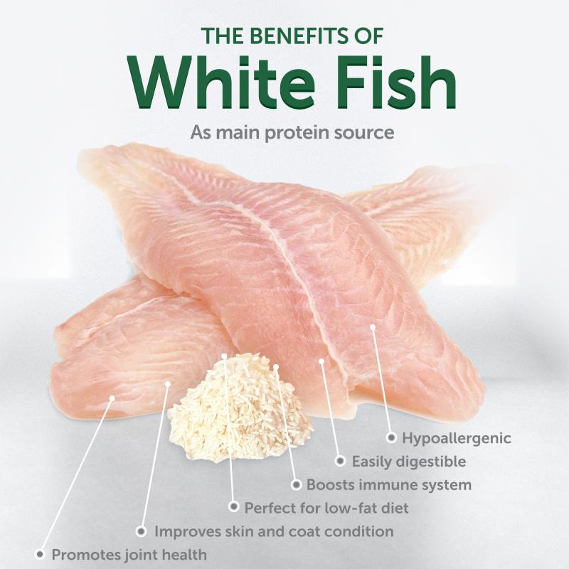 Premium Digestive Support Dog Treats with White Fish & Rice - Healthy Snacks for Adult Dogs - Ideal for Training, Rewards & Digestive Health