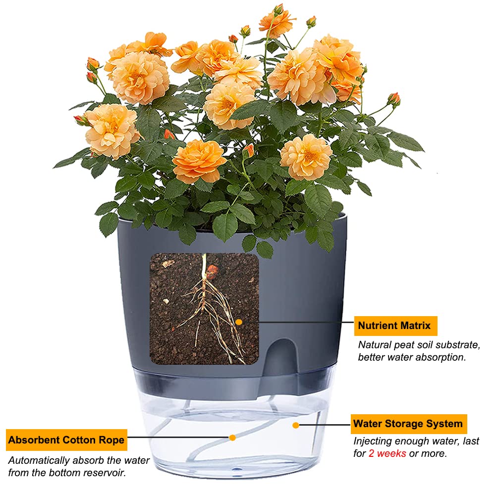 Self Watering Planters 4 Pack – 4.1 Inch African Violet Pots with Transparent Water Reservoir, Modern Decorative Indoor Flower Pots for House Plants, Succulents, Herbs – Perfect for Home, Office, Kitchen Decor (Gray)