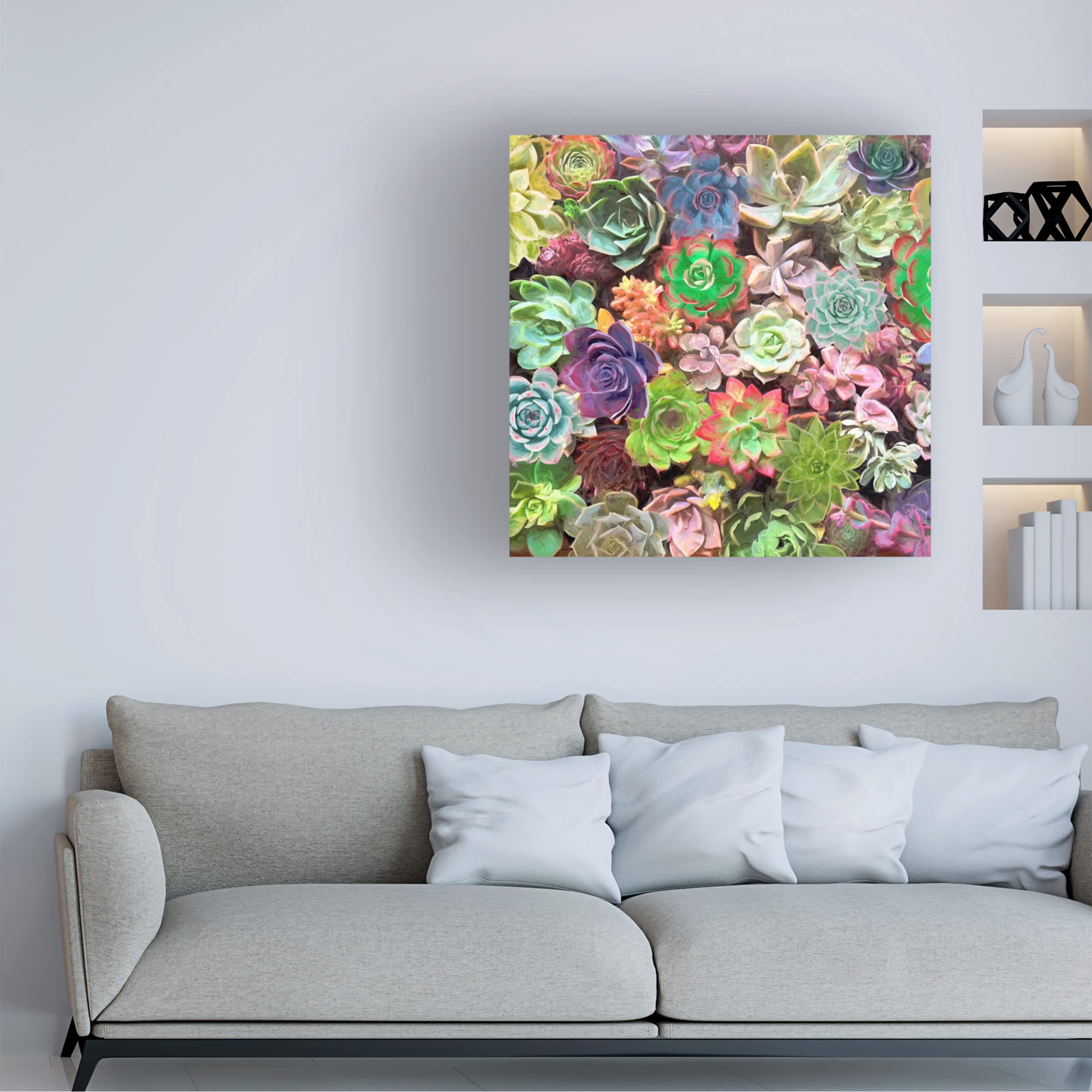 Trademark Fine Art 'Little Succulent Garden II' Canvas Wall Art by Cora Niele - Perfect for Home Decor, Office & Living Room Aesthetic