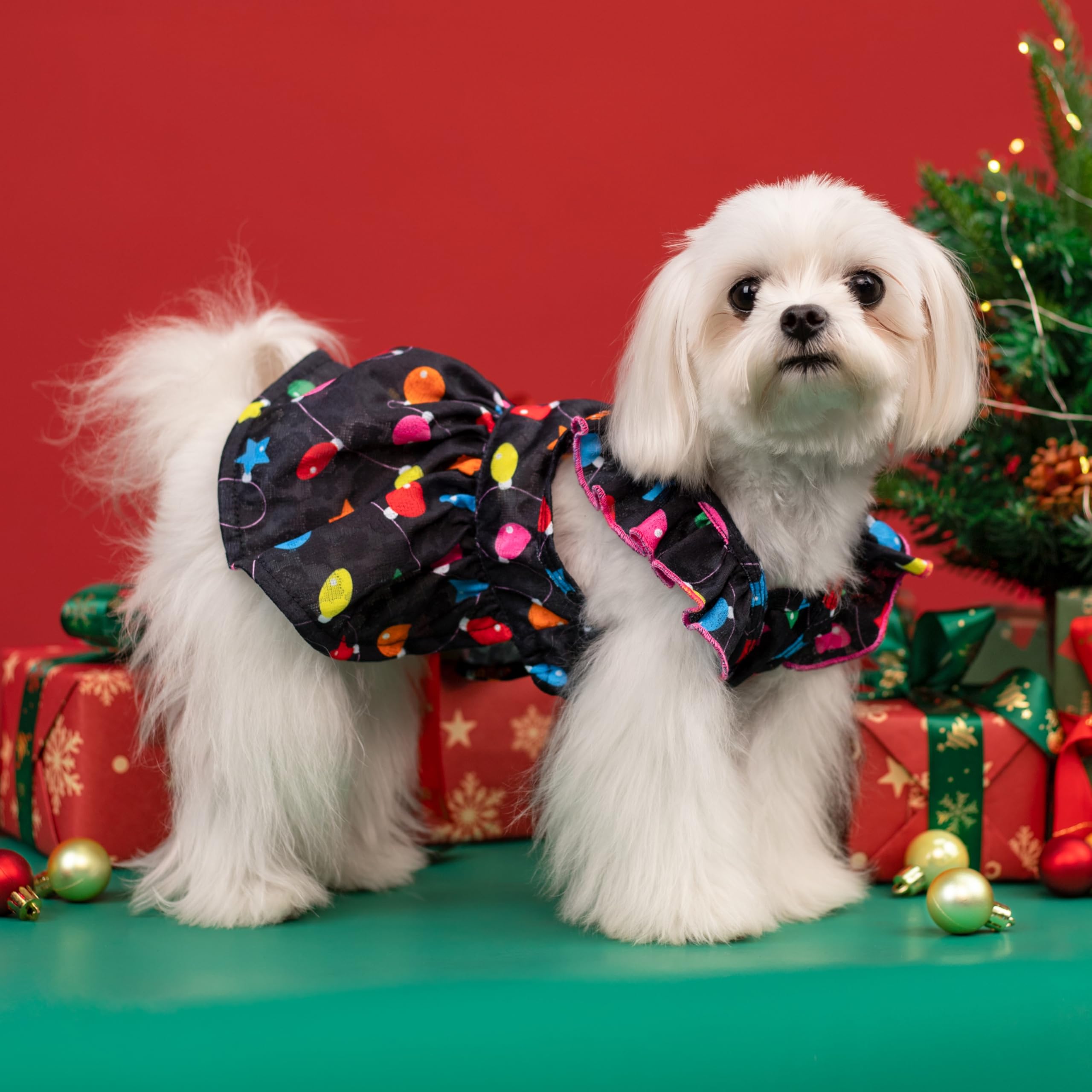 Fitwarm Christmas Light Dog Dress - Cute Holiday Pet Outfit for Small Dogs | Black, Pink, Red | Large Size | Perfect for Christmas Photos & Festive Gatherings
