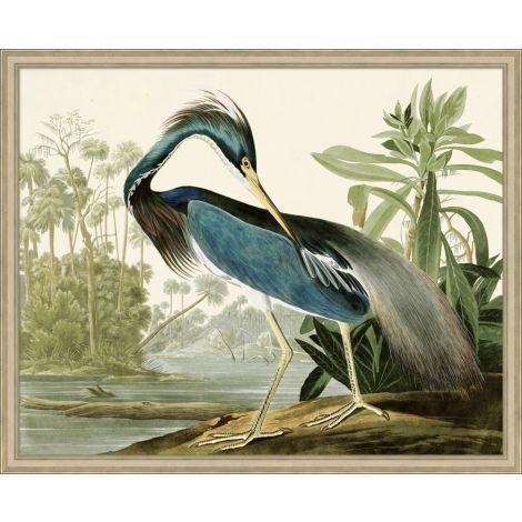 Audubon's Blue Heron Framed Wall Art Print - Nature Inspired Home Decor for Living Room, Bedroom & Office