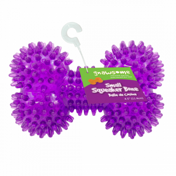 Gnawsome Small Squeaker Bone for Dogs - Durable Chew Toy for Puppies & Small Dogs - Interactive Play & Teeth Cleaning - Perfect for Indoor & Outdoor Use